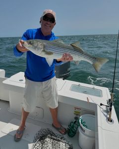 Perfect Conditions for Coastal Fishing
