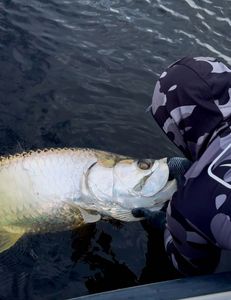 San Juan Tarpon Action: Fall Inshore Trip with SuFishNSea