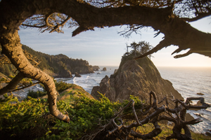 Things To Do In Oregon