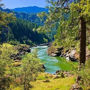 Top Things to Do In the Rogue River