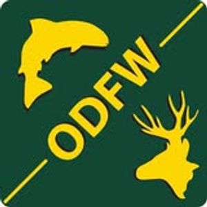 Oregon Fishing License Information for Travelers and Anglers