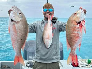 Hot Bites, Calm Seas & Summertime Favorites