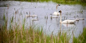 Explore Ottertail, MN: Best Activities Beyond the Lake