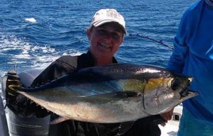 Blackfin Tuna Majesty