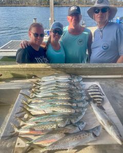 Family Mackerel Fishing, inshore fishing 