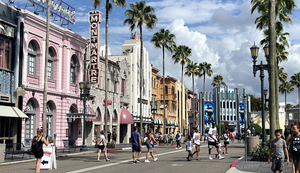 Things To Do in Florida