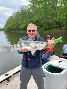 NC's Ultimate Striped Bass Quest.