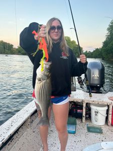 NC's Premier Striped Bass Expeditions