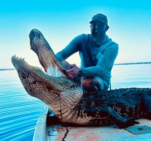 Opening Day Success with Two Giant Florida Gators