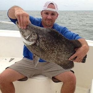 Exciting Tripletail trolling adventures await you.