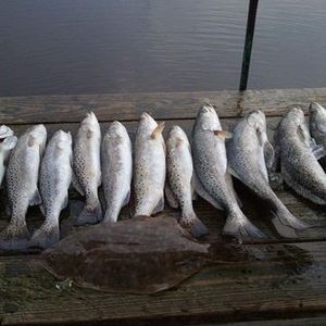 Sea Trout, Biloxi fishing charters: Book now!