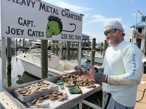Book Your Gulf Coast Adventure Before the Calm Returns