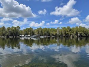 Things To Do in Homosassa, FL
