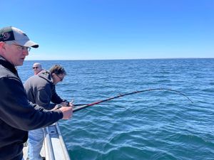 Ultimate Massachusetts Fishing Charters