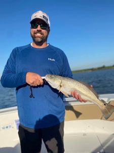  It's a triple delight out on the water today 
