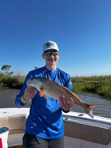 Savannah Fishing Heating Up Fast