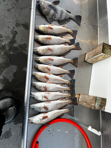 Inshore Fishing Escapade with Captain Zach in Savannah, GA