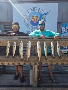 Open Dates Available This Week 📅