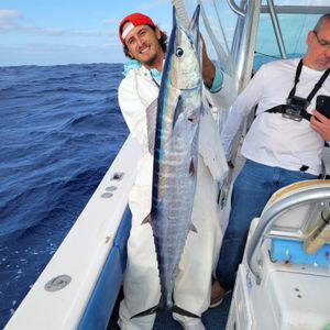 Epic Offshore Catch: Mahi, Blackfin Tuna & Wahoo on Blue Heaven Charter