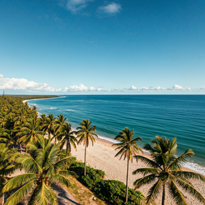 Things To Do In Islamorada 