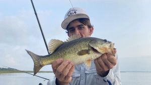 What Travelers Need to Know About Florida Fishing Licenses
