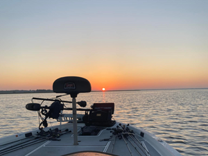 Things To Do In , FL