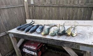 Neptune, NJ Fishing Report