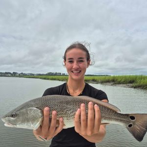 Average on reds slow on blackdrums 