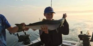 Chinook Salmon Delights In Lake Ontario