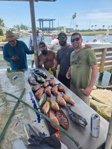 Flat Seas and a Hot Snapper Bite