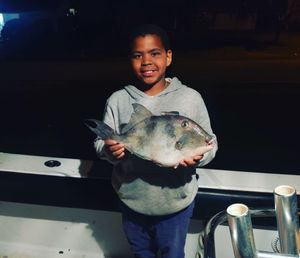 Grey Triggerfish in FL