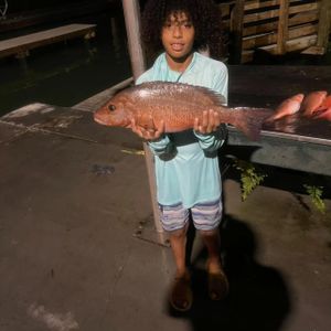 Applause for this boy who got a Mangrove Snapper!
