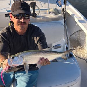 Tarpon sight casting and snook fly fishing action