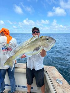 Filled the Box Up with Some Nice Bottom Fish Out in the Deep!