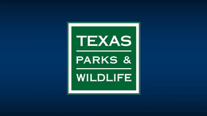 Texas Fishing License