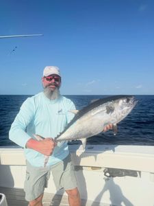 Offshore mixed bag bluefin wahoo blackfin action