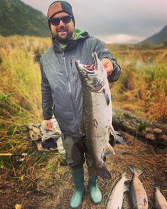 Savoring Salmon, Scenic Bliss