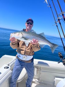 Great Bass fishing in Cape Cod Bay today ￼