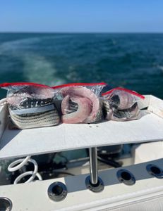 Great afternoon trip 