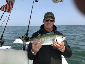 Reeling in the Bonito Blitz: A Thrilling Inshore Fishing Adventure