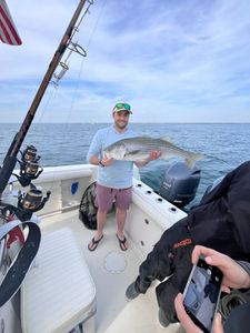 Great striped bass action in the afternoon ￼