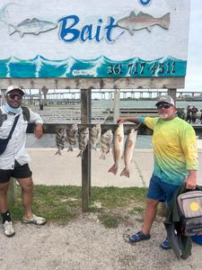 Windy Day, Big Redfish