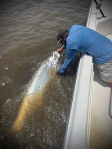 Tarpon fishing