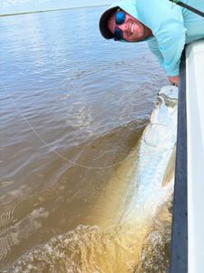 Big Silver King Action on the Georgia Coast