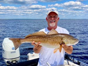 Spring Bite Heats Up Along Suwannee’s Inshore Waters