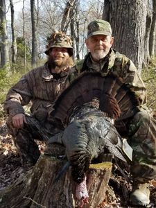 Spring Birds on the Ground in Virginia