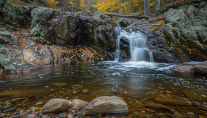 Things To Do In Virginia 