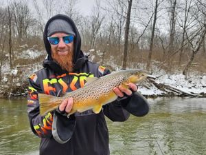 Spring Action Heating Up!