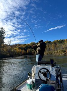 Last-minute Manistee River steelhead opening for tomorrow morning, 6-hour trip available