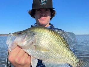 Grenada Lake Crappie Fishing Report – Mississippi